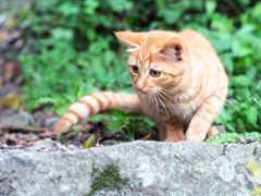 狙い撃ち