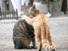 よっ！