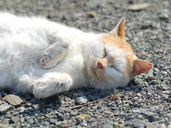 少しだけ綺麗に