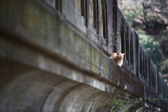 ぽつん