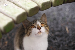 空に