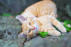 後ろに居るよ