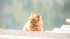 通りの向こうは