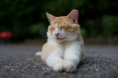 ぴーん！