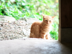 それじゃまた