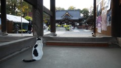 はらへったにゃー