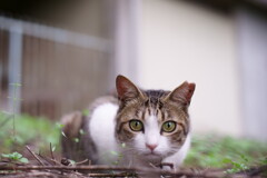 それなんですか？