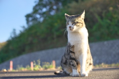 晴天なり