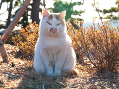 ようこそ輝く時間へ