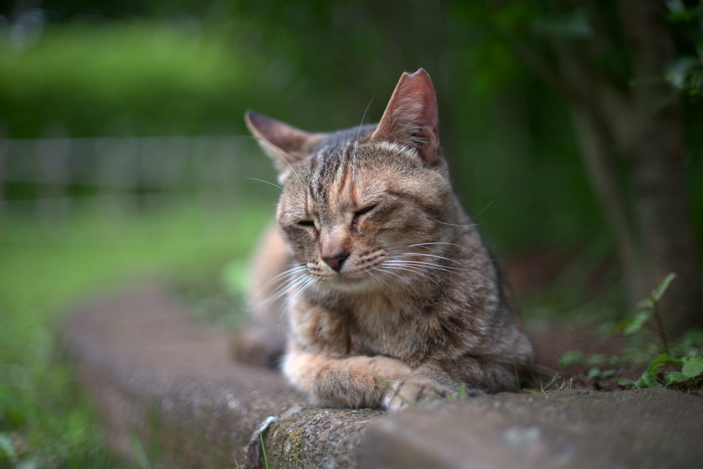 最近肩が痛くて。