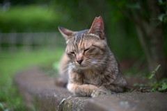 最近肩が痛くて。