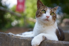 今日も瞳は元気