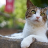 今日も瞳は元気