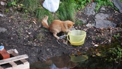 いただきます。