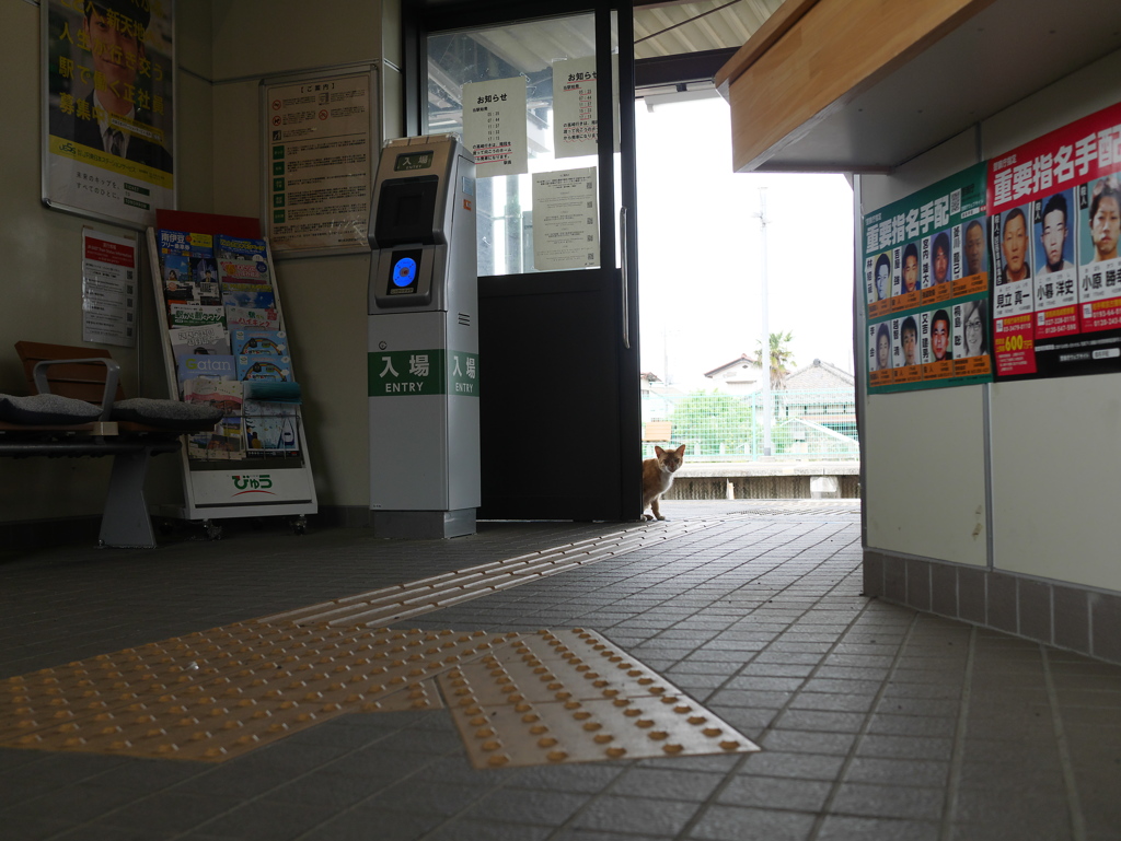 猫駅員さん