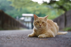 まだそこに居てね