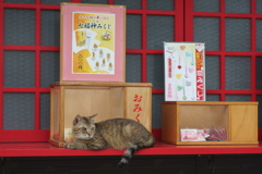 未来は此処に