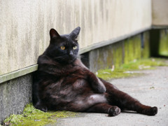 腹いっぱいです。