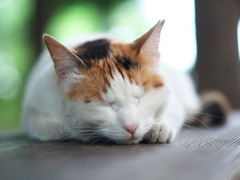 あぁ～よかった。