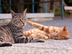 すきあり。