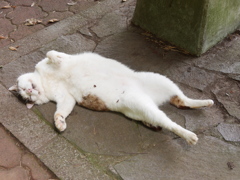 思惑通り