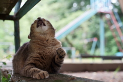 おい！うるさいぞ