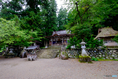 白川郷曇天6