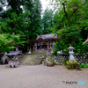白川郷曇天6