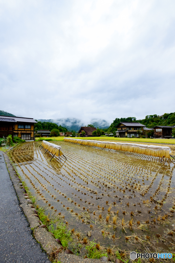白川郷曇天8