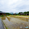 白川郷曇天8