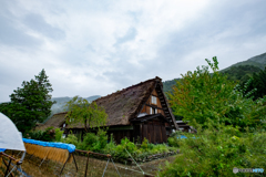 白川郷曇天2