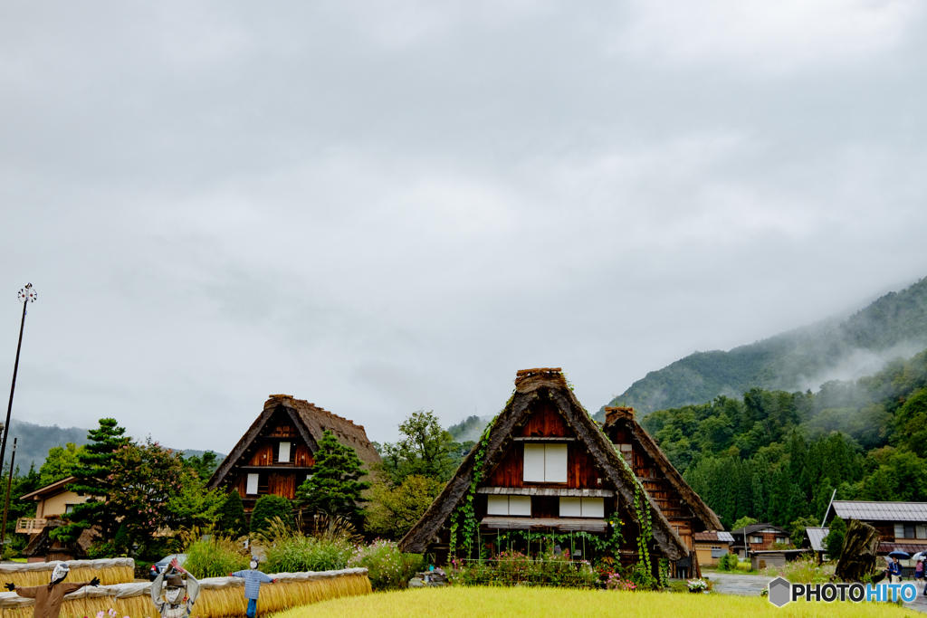白川郷曇天4