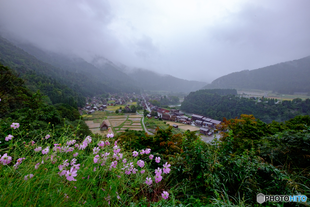 白川郷展望台より