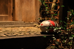 福石猫