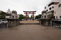 鶴岡八幡宮