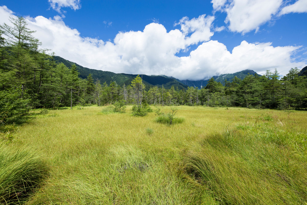 田代湿原