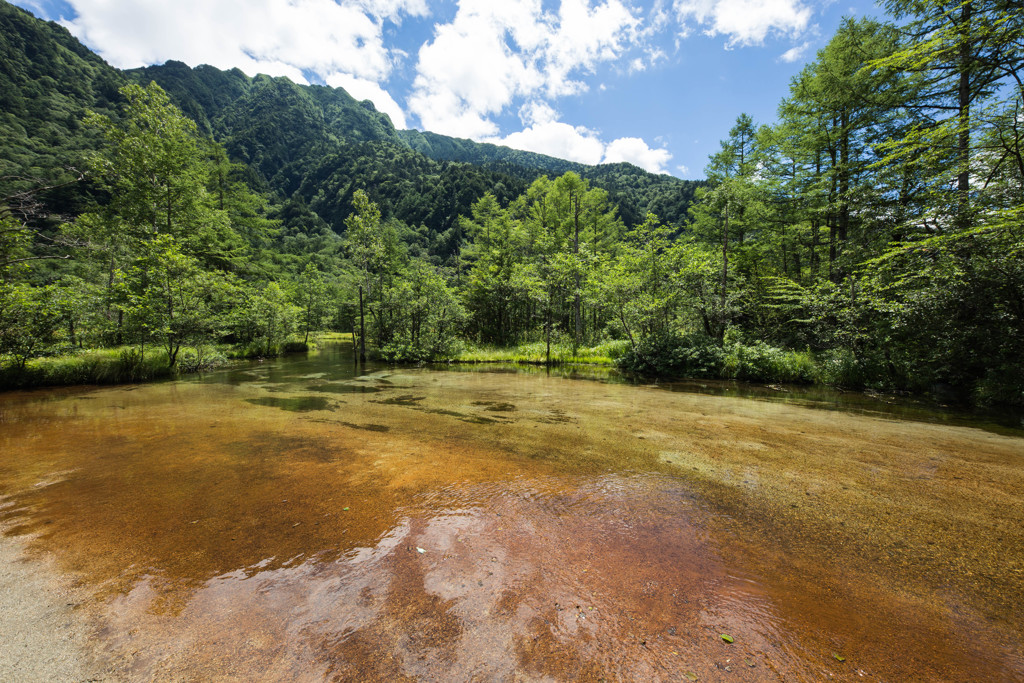 田代池