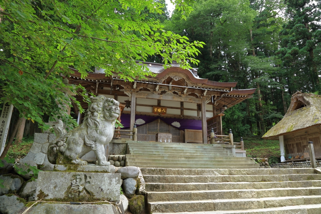 白川八幡神社