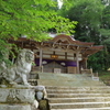 白川八幡神社