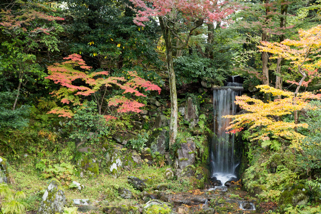 兼六園