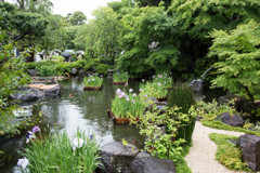 長谷寺