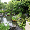 長谷寺
