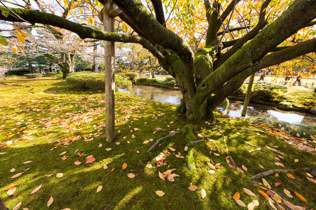 兼六園
