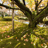 兼六園