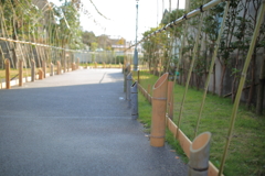 憧憬の路・昼