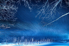 風雪の青い池ライトアップ