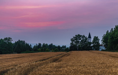 美瑛の夕景