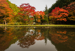 紅桜庭園