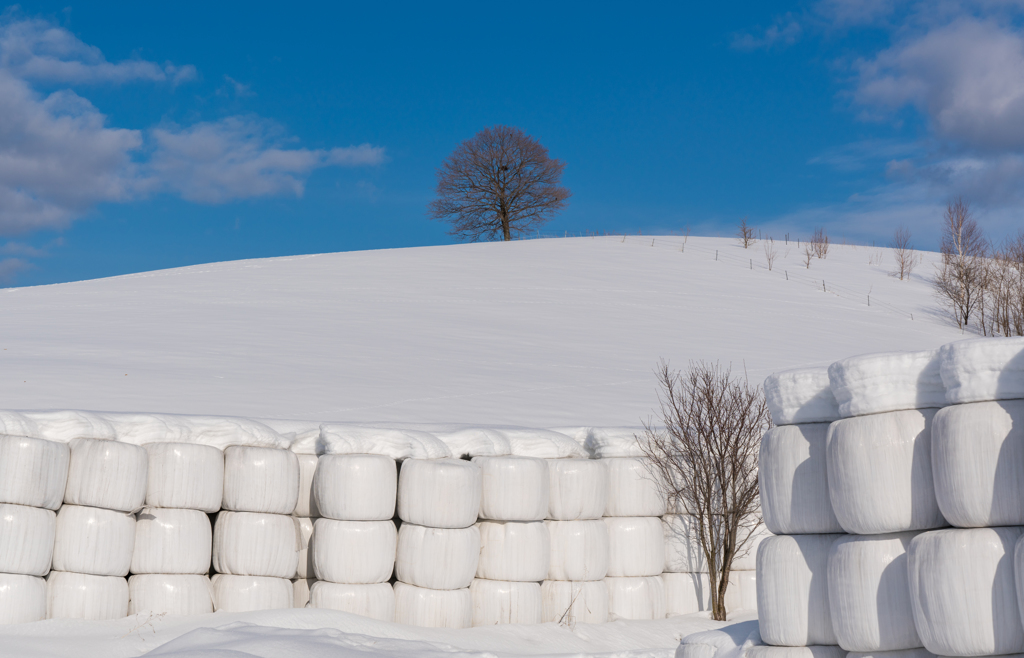 積まれた牧草ロールと雪