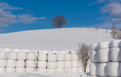 積まれた牧草ロールと雪